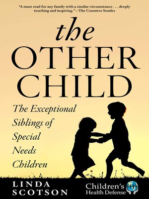 cover image of The Other Child